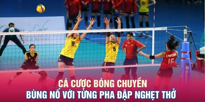 Cá Cược Bóng Chuyền - Bùng Nổ Với Từng Pha Đập Nghẹt Thở