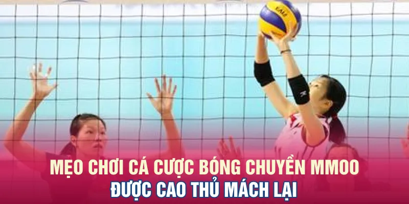 Mẹo chơi cá cược bóng chuyền MMOO được cao thủ mách lại