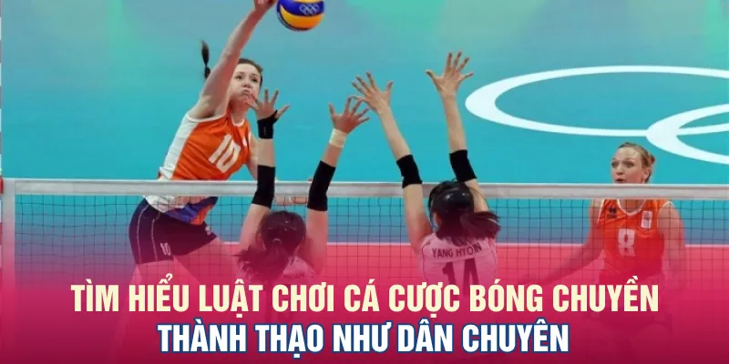 Tìm hiểu luật chơi cá cược bóng chuyền thành thạo như dân chuyên