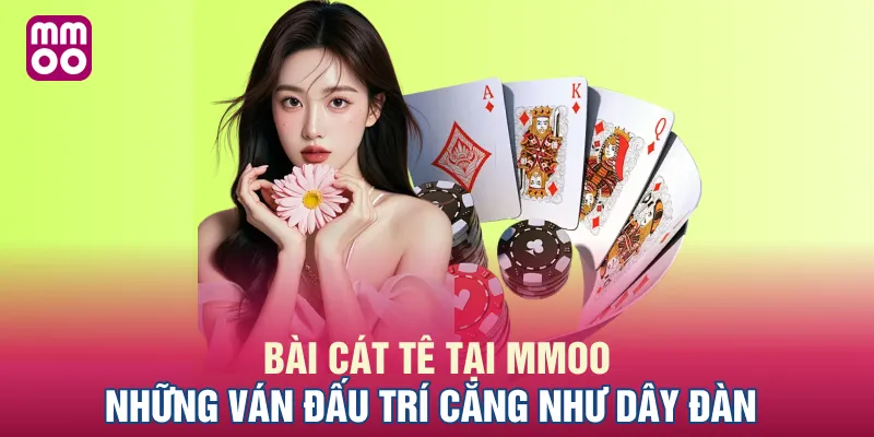 Bài Cát Tê Tại MMOO - Những Ván Đấu Trí Căng Như Dây Đàn
